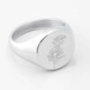 Aster September Flower silver 1