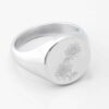Chrysanthemum November Flower silver