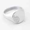 Paisley silver