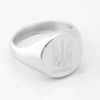 Ukraine silver