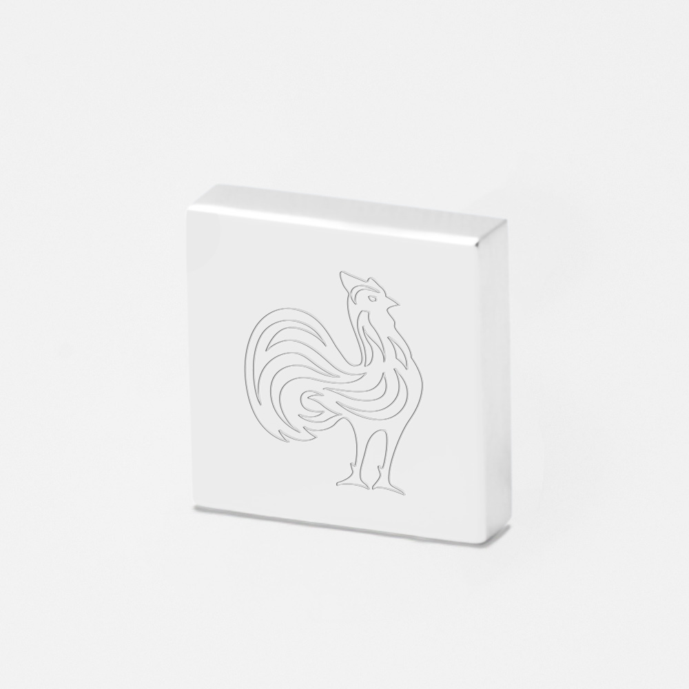 France-Rugby-Engraved-Lapel-Pin