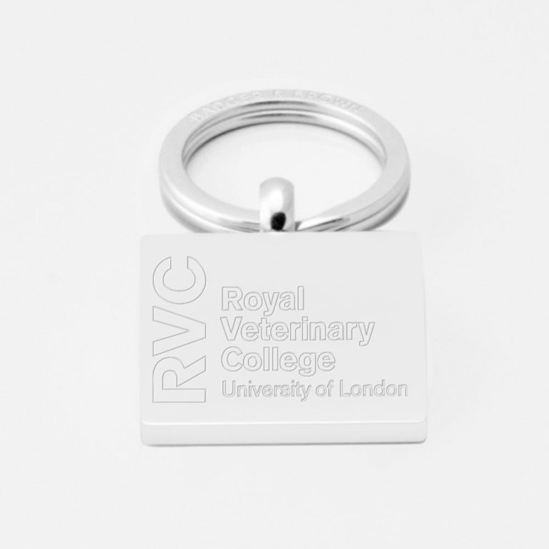 Royal-Veterinary-College-Engraved-Silver-Keyring