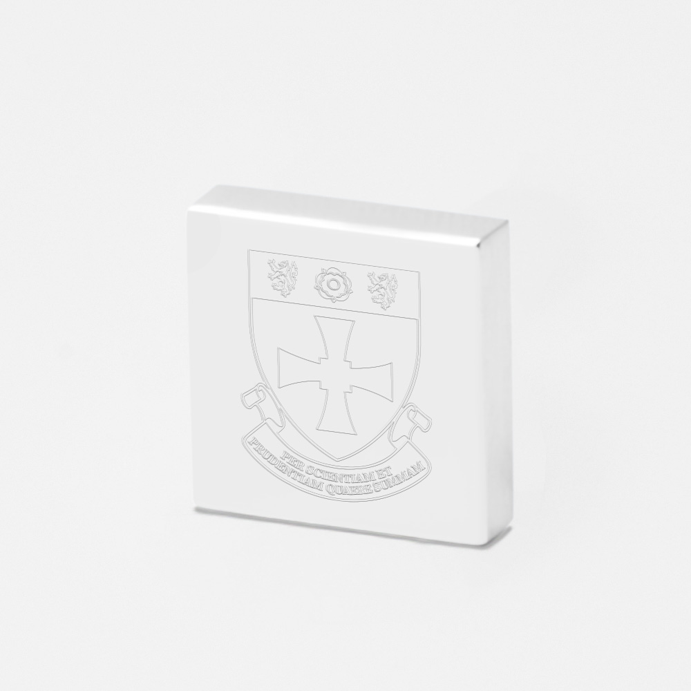 John Snow College-Engraved-Silver-Lapel-Pin