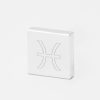 Pisces Zodiac-Engraved-Silver-Lapel-Pin