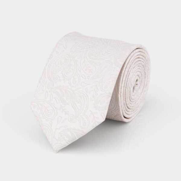 Almond Paisley Silk Tie
