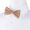 sand-bowtie