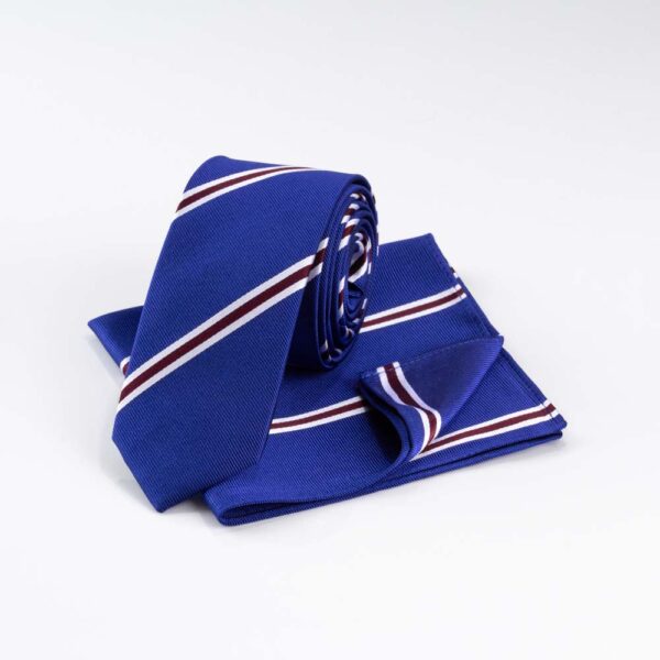 Navy and Burgundy Striped Tie and Pocket Square Set