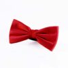 cherry-bowtie