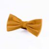 cinnamon-bowtie