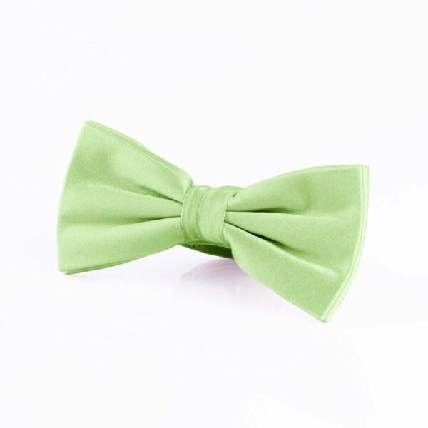 Mint Silk Bow Tie