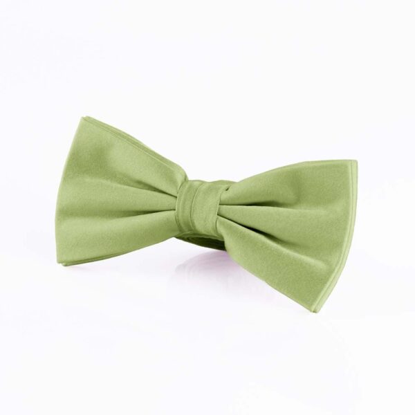 Pistachio Silk Bow Tie