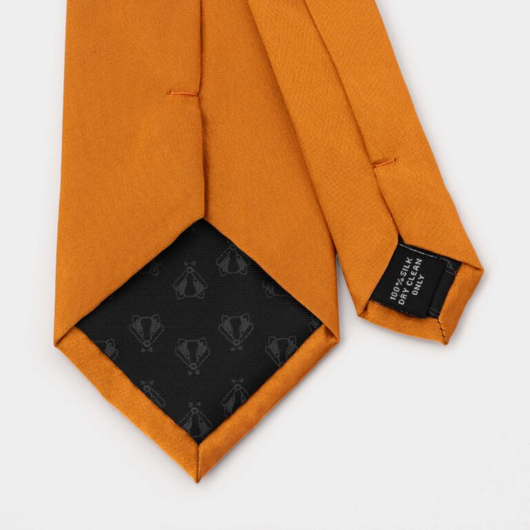 Cinnamon Silk Tie