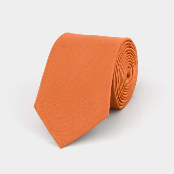 Rust Orange Plain Silk Tie
